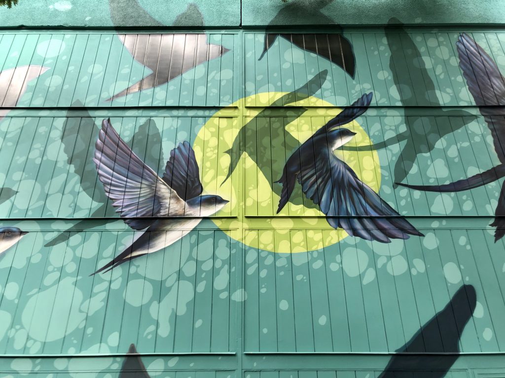 muralpaint fecske mural