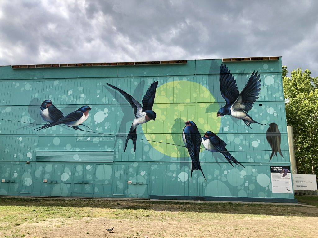muralpaint fecske mural