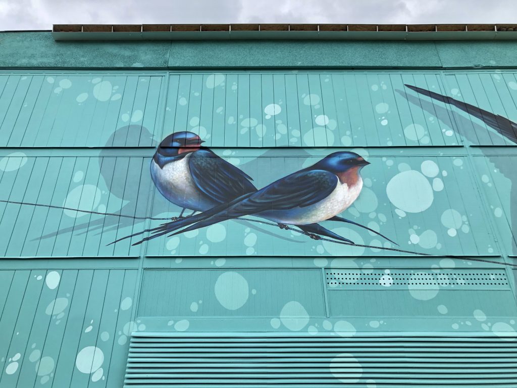 muralpaint fecske mural