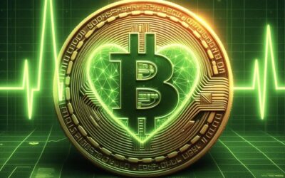 Bitcoin az egészséges pénz