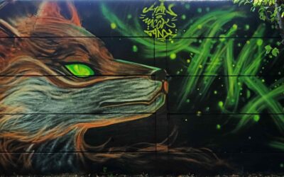 Interjú ANX graffiti művésszel