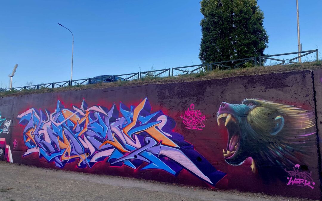 Interjú Refleks graffiti művésszel