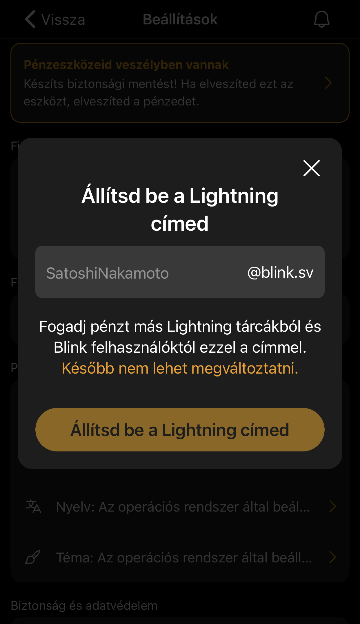 Blink Wallet